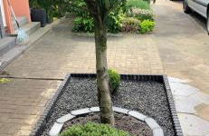 Casa Arturo Düsseldorf - Foto 30