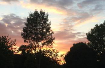 Chambre 35 m2 spacieuse calme avec piscine Sud Charente - Foto 17