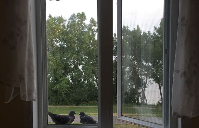 Cozy water front Montreal - Foto 46