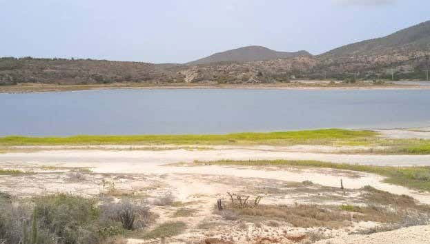 Excursion dans La Asunción et Macanao