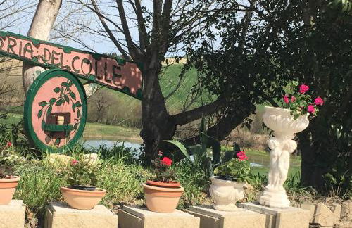 Agriturismo Fattoria del Colle - Foto 37