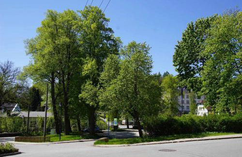 Ferienwohnung KerMärchen - Foto 14