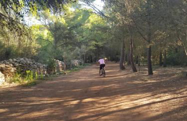 La Galiote, T2 vue port, terrasse et parking - Foto 40