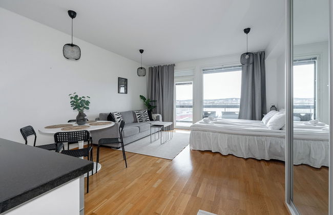 Lake View 7th Floor Studio next to Downtown - Photo 4