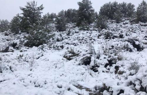 CASA RURAL LA BLANQUITA - Foto 13