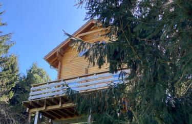 Chalet bois au calme, en lisière de forêt, balcons, sentiers balades Gérardmer & Alsace "Chalet Mon beau sapin" - Foto 21