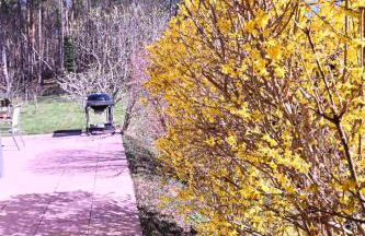 La Renardière - Foto 35