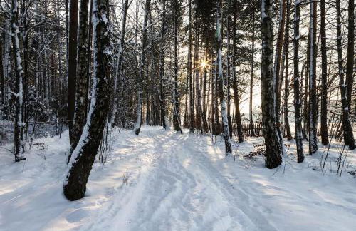 Trójmiasto nad jeziorem DOM -ECHOCHATA - Foto 11