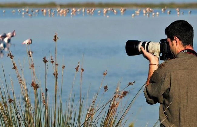 Residence Smith - Fronte Mare 1 Piano 4B - Photo 14