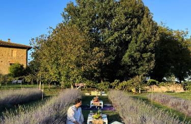 CLAUDIA VACANZA TOSCANA - Appartamento Nocciolo- 10 min da Siena - Foto 32