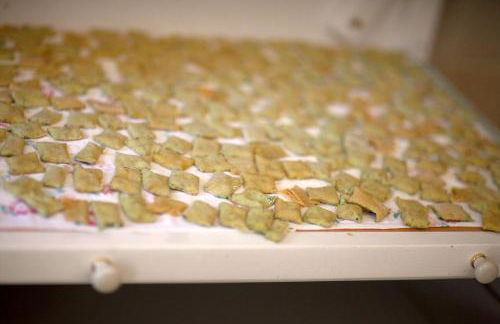 Agriturismo Pozzuolo - Foto 47