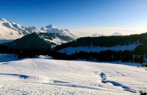 Logement 3 étoiles avec vue imprenable sur les montagnes, ski bus - Photo 5