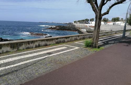 Cantinho do Ilhéu - Photo 122