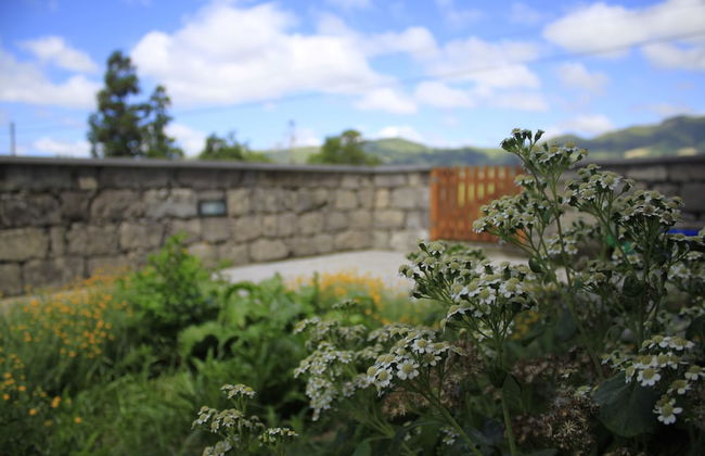 Casa da Cisaltina - Foto 71