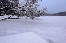 Cottage - Kleine alte Villa am See - Foto 18