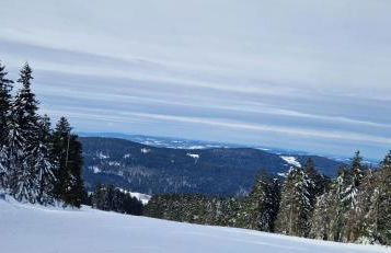 Pools, Sauna und Balkon mit Panoramablick - Foto 71