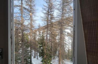 "Miramonte" appartement avec terrasse vue montagne et parking privatif sous-sol, à proximité immédiate des pistes, cœur de Vars les Claux, secteur point show avec commodités et piscine chauffée de plein air - Foto 19