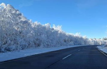 Ferienwohnung Naturpur - Foto 21