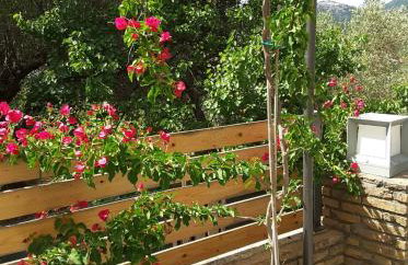 STATHI'S COTTAGE - Foto 18