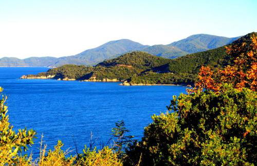 Marianni Studios - Photo 22