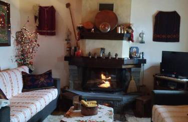 Παραδοσιακή πέτρινη κατοικία στην Βλάχα Ελάτης - Foto 37