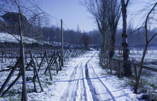 Quinta do Mosteiro - Foto 13