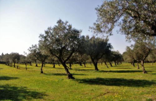 Suite Romantica en el campo, Cantallops, Girona - Foto 16