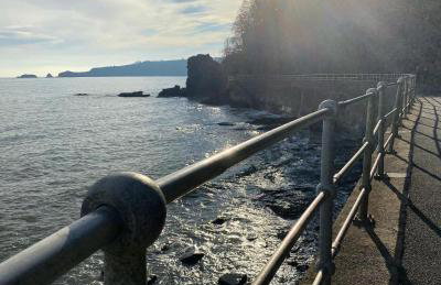 Adorable bedsit for you, partner and your pet! - Foto 50