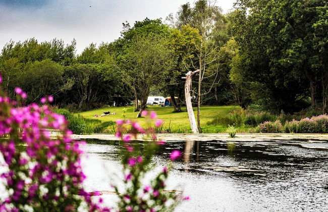 North Norfolk Glamping - Foto 41