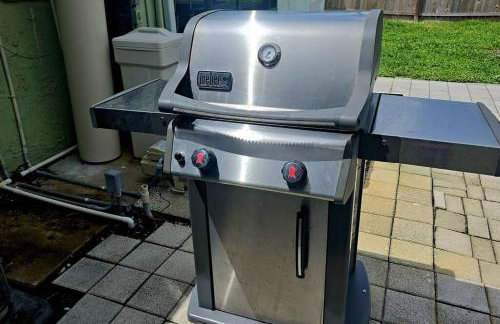 The Queen's Flamingo - Foto 25