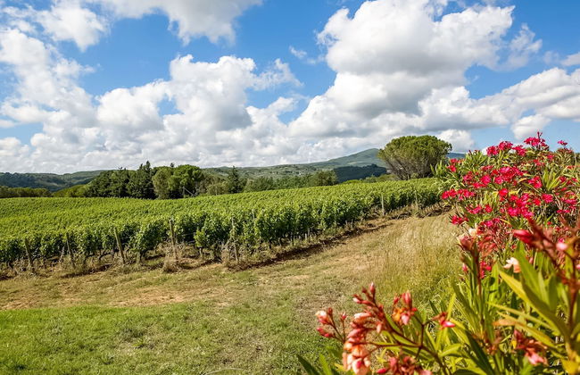 Tuscan Farmhouse in Montescudaio near Sea - Foto 24