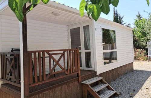 Bellavista - Fishingcamp - Photo 23