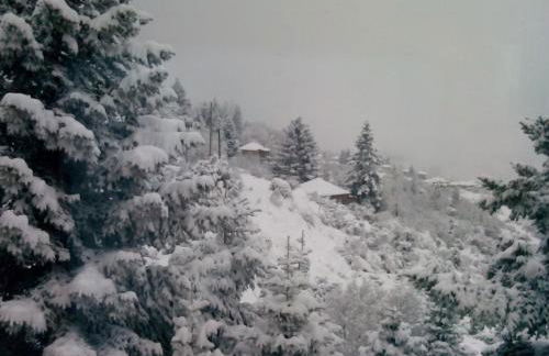 Elatos cozy Studio - Foto 22