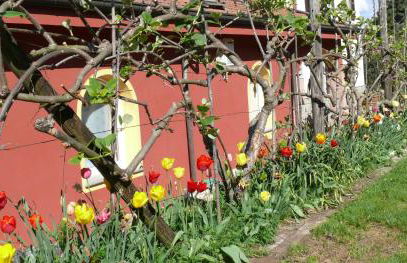 Casa vacanze Ester - Photo 41