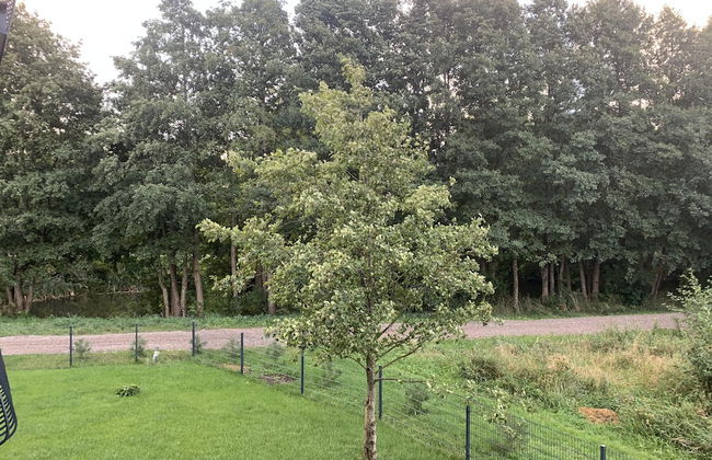 Seaside apartments - Near Palanga Beach - Photo 20