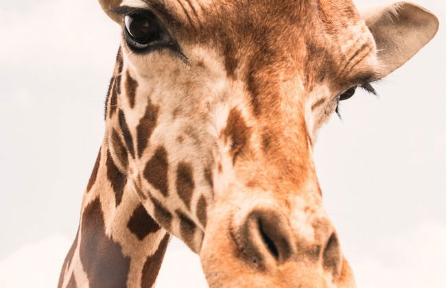 Blue Hills Ranch - Foto 76