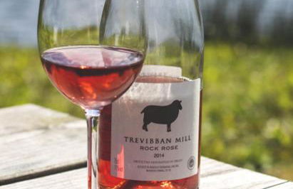 Fistral hot tub house for 8 on Retallack Resort - Foto 56