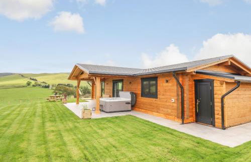 Bacheiddon Log Cabin - Photo 24