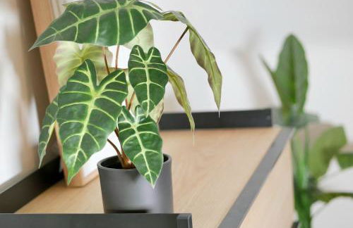 Ferienhaus Anni & Fritz - Foto 21