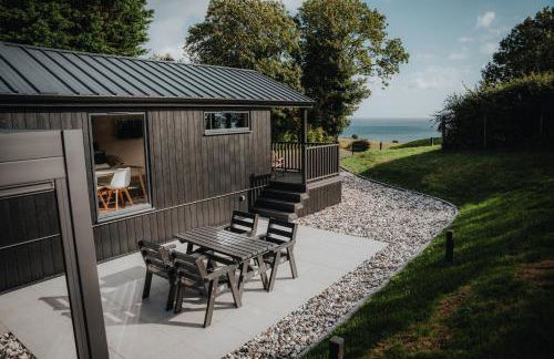 Briarfield Farm Stays - Coillte Cabin - Foto 17