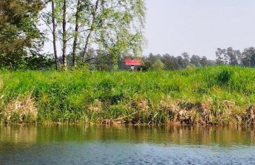 Leśna Chata kuracyjna nad rzeką z sauną w Borach Tucholskich - Foto 45