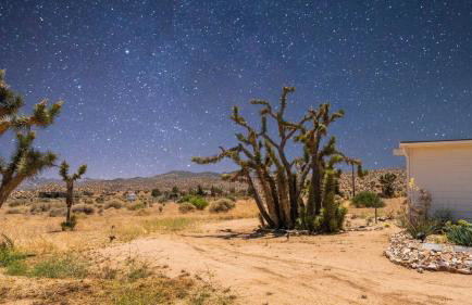 The Whispering Wind Tree - Foto 48