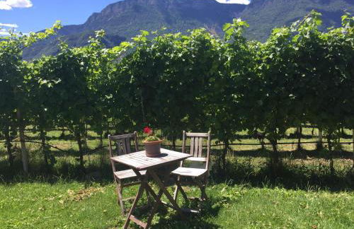 Lochererhof - Foto 48