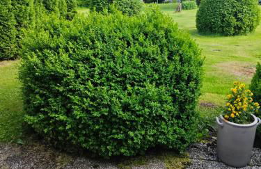 Haus 2 Etagen Garten 1 Badezimmer,1 Gäste Wc 200 Qm 5 Betten Gehoben mit Garten - Foto 7