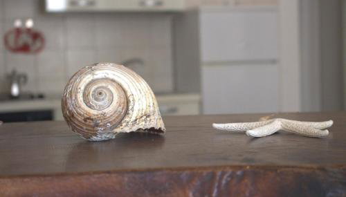 Lido dei Miracoli - Foto 2