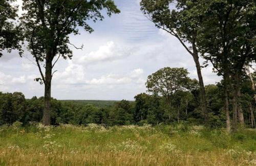 PIKES PEAK - Tiny Houses Of French Village - Foto 36