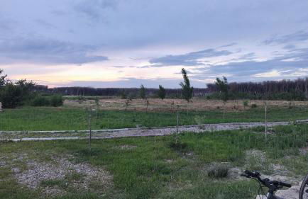 Alda House Terra - Foto 18