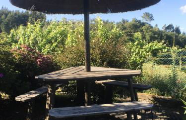 Welcoming villa near Penafiel with pool - Foto 6