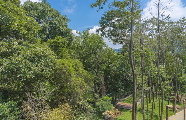 BEE Suites Santa Ana - Foto 53