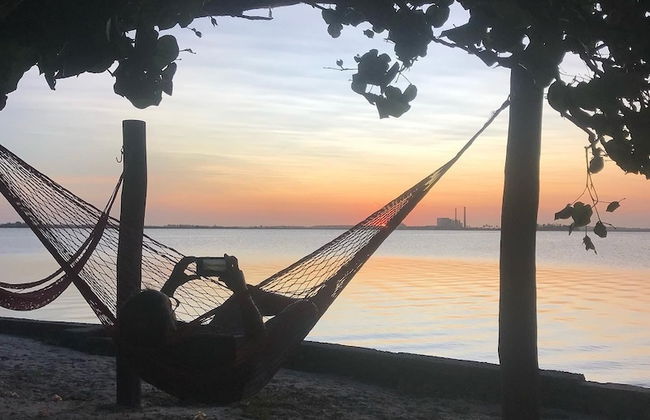 Casa Palmer - Photo 1